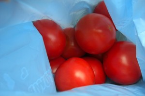 tomato-syukaku0907