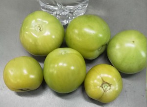 11月20日収穫トマト
